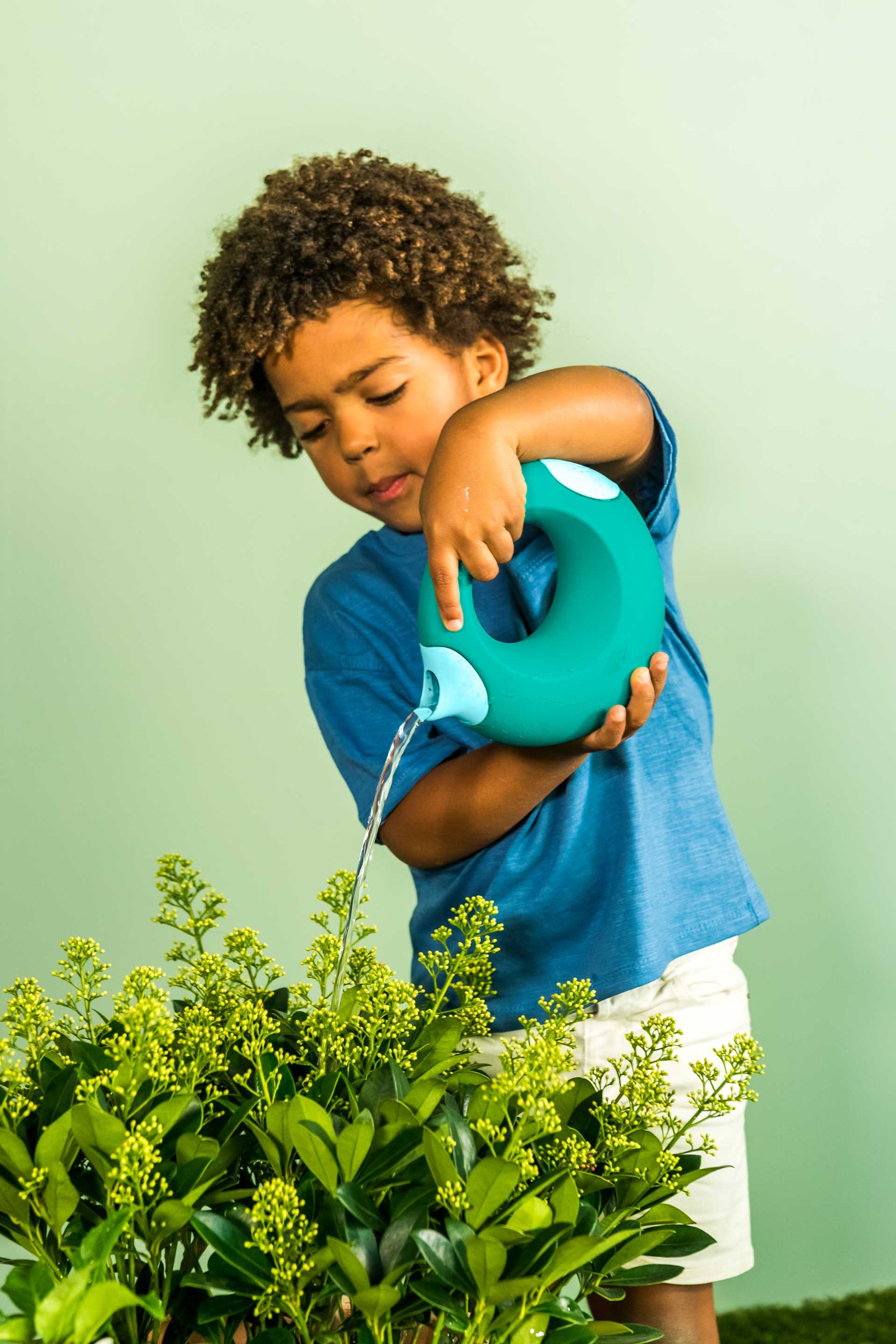 CANA LARGE - NEW LAGOON VINTAGE